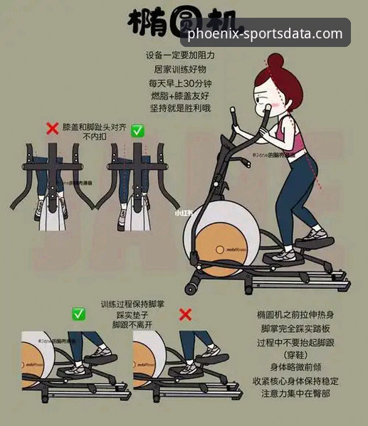 凤凰体育平台安全使用与高效攻略全教程